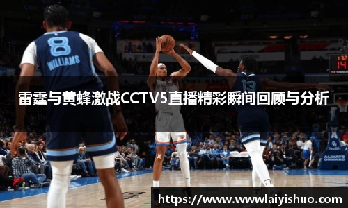雷霆与黄蜂激战CCTV5直播精彩瞬间回顾与分析
